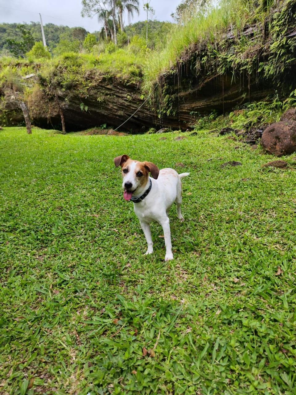 Morada Da Pedra Villa Praia Grande  Kültér fotó