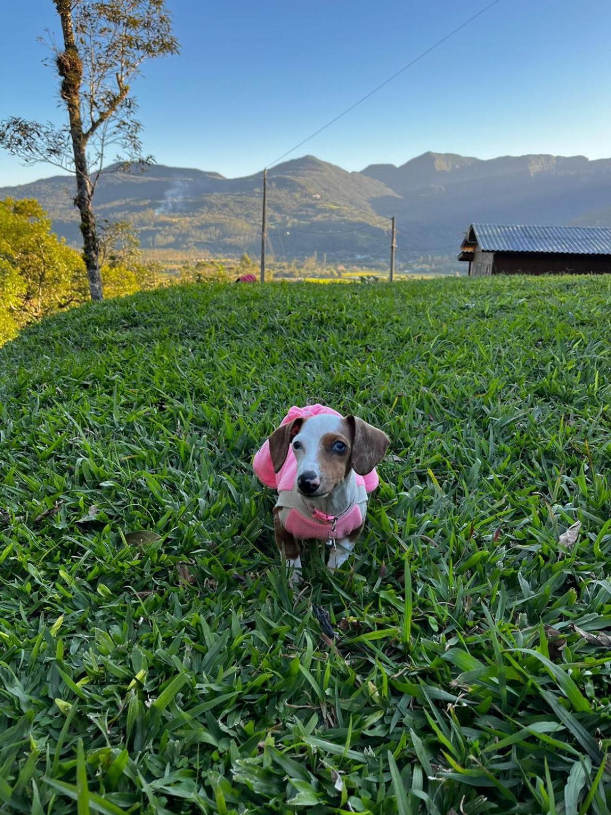 Morada Da Pedra Villa Praia Grande  Kültér fotó